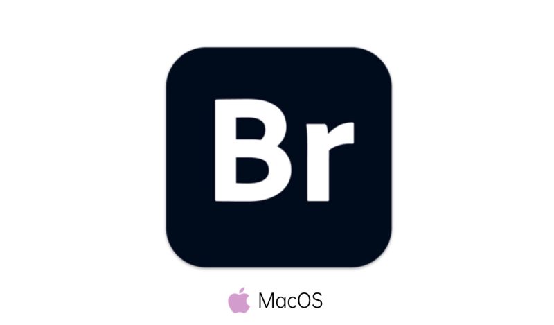 Adobe Bridge 2025 for Mac (Br2025)激活版-i资源
